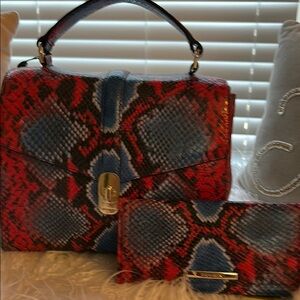 Red and Blue Snake Print Handbag and Wallet Set